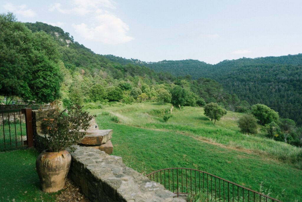 Terreno con vegetación autóctona y biodiversidad para proyecto de bioarquitectura