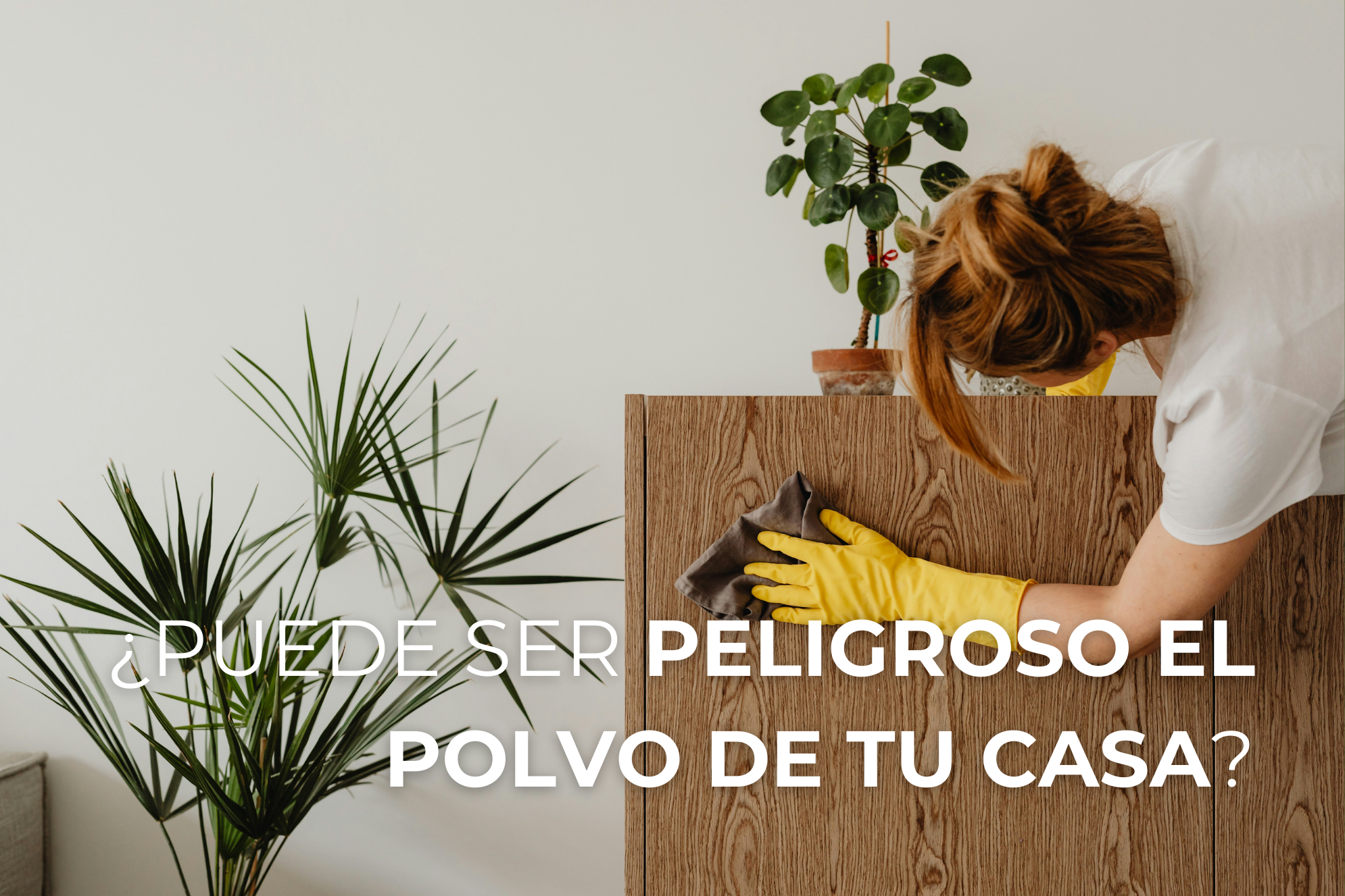 Polvo casa tóxico