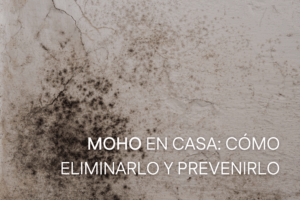 Como eliminar moho en pared