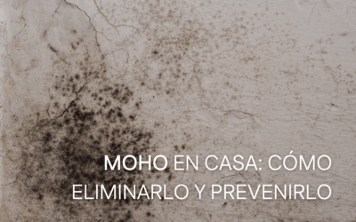 MOHO EN CASA Y BIOARQUITECTURA: CÓMO ELIMINARLO Y PREVENIRLO